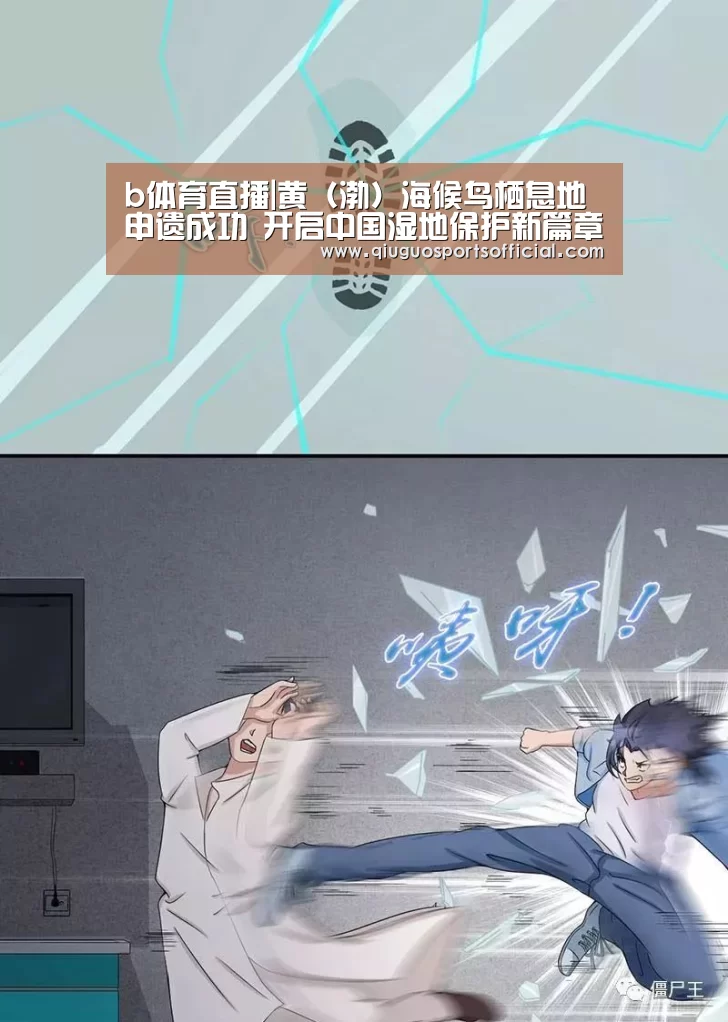 b体育官网