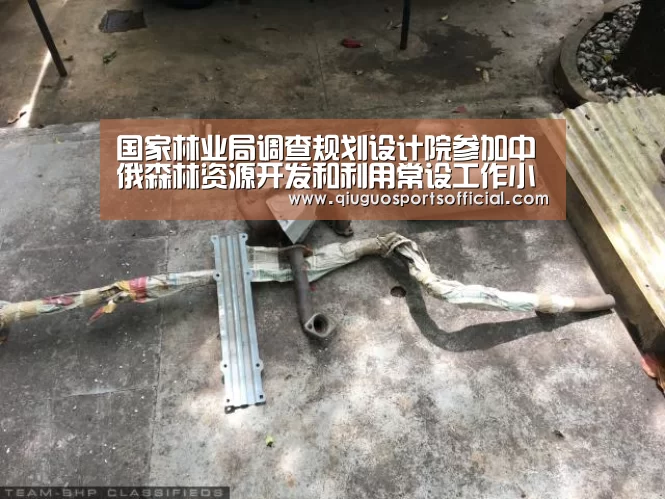 b体育直播