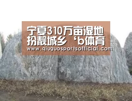 b体育官网