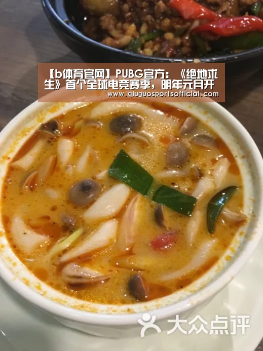 【b体育官网】PUBG官方:《绝地求生》首个全球电竞赛季,明年元月开赛(图3) b体育官网直播