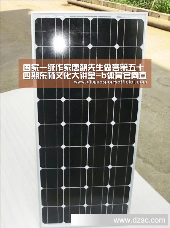 国家一级作家唐飙先生做客第五十四期东林文化大讲堂-b体育官网直播(图2) b体育直播